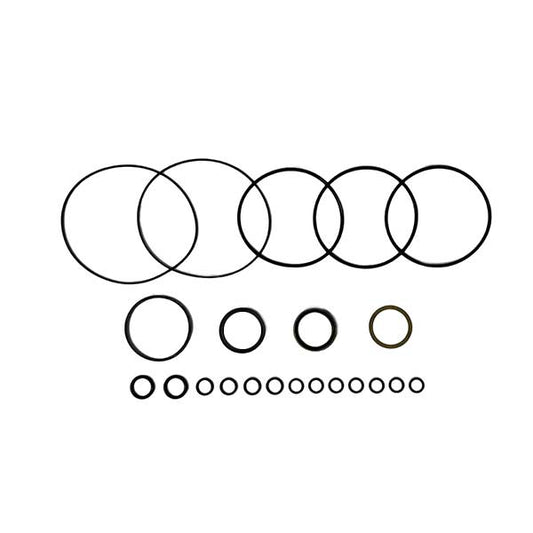 Char-Lynn 60042-HSP Seal Kit