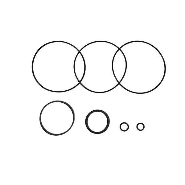 Char-Lynn 64417 Kit para Bomba, Motor y Válvula