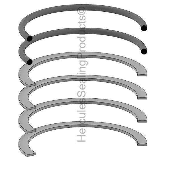 Case 4004291 O-Ring