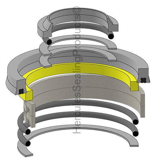 P 1100P361F1 Seal Kit