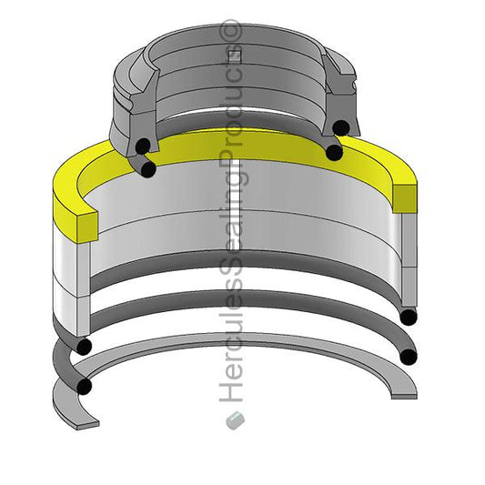 P 1100P366F1 Seal Kit