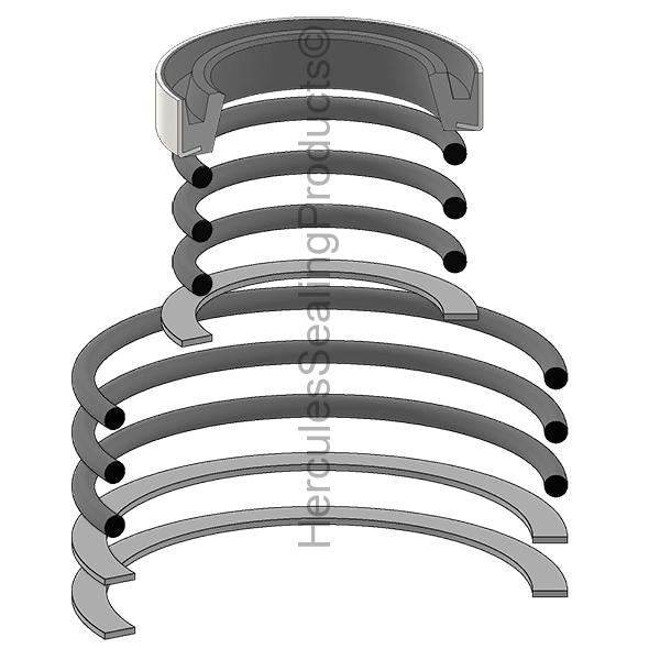 Vanguard 17579 Seal Kit